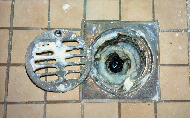 https://blockeddrainsfremantle.com.au/uploads/2025/07/blocked-shower-drains-33151.jpg