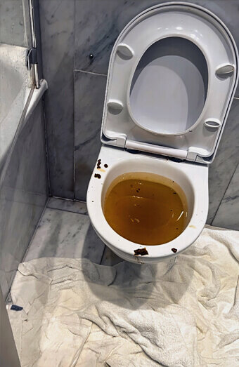 https://blockeddrainsfremantle.com.au/uploads/2025/07/blocked-toilet-27793.jpg